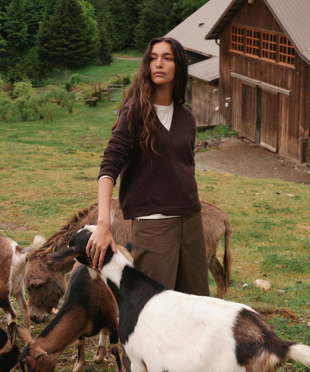 Everyday Relaxed 100% Cashmere V-Neck Sweater in Espresso - Pure Mongolian cashmere drop shoulder knit